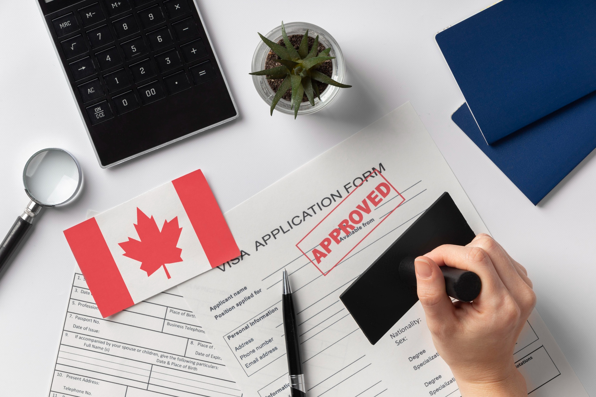 Read more about the article 5 Best Pathways to Immigrate to Canada